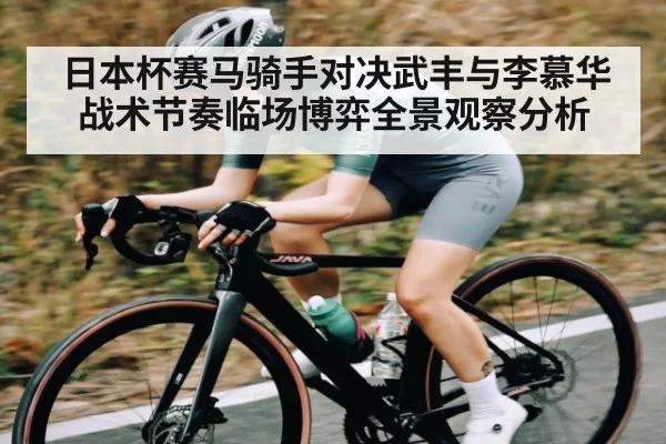 日本杯赛马骑手对决武丰与李慕华战术节奏临场博弈全景观察分析